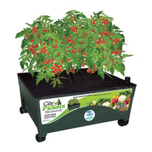 for Kaylas veggie garden