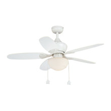 Ceiling fan