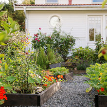 Experttips: Vilka växter är fina att kombinera i pallkragen?