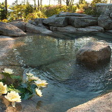 Water Features/Landscaping