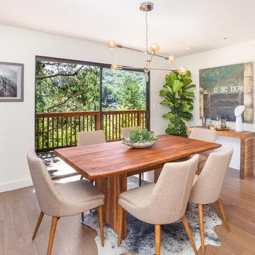 Mill Valley Contemporary