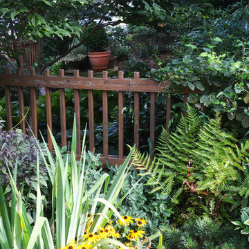 Residential Shade Garden