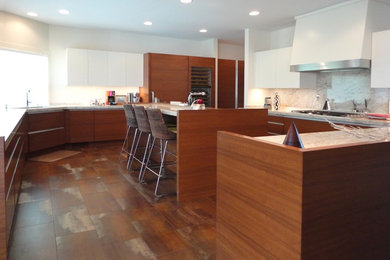 Kitchen - contemporary kitchen idea in Chicago