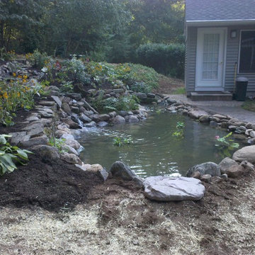 Back Yard Pond - Avon