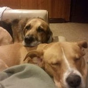 Jennifer Swenby's photo
