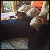 Sasha Cole's photo