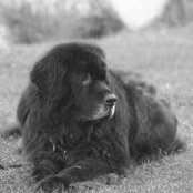 Llynda Baugh's photo