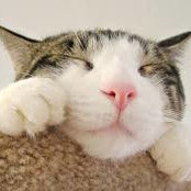 Margo Franklin's photo
