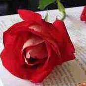 נוזהת חלבי's photo