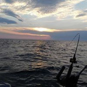 Robert Reese's photo