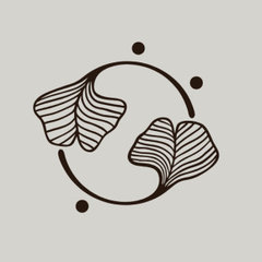 Intrinsic Studio Co.