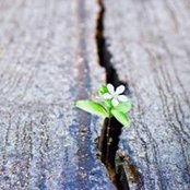 Connie Martin's photo