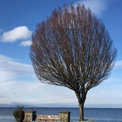 Hani Abdalla's photo