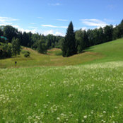Foto von Alena Zikova