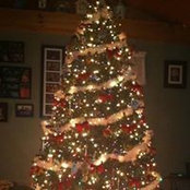Monique Dube's photo