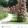 webuser_807362346