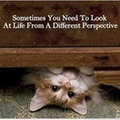 Ebtehal Mansour's photo