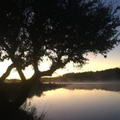 Yvonne Stricklen's photo