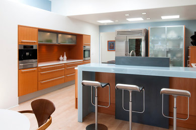 Trendy kitchen photo in San Diego