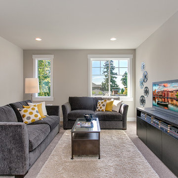 Greater Seattle Area | The Trento Bonus Room