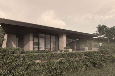 Home design - modern home design idea in Other
