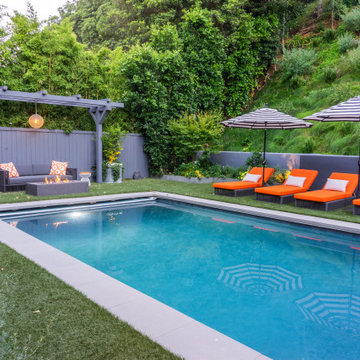 Mandeville Canyon Modern Oasis
