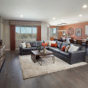 Torrey Pines Plan at Victoria | Phoenix, AZ