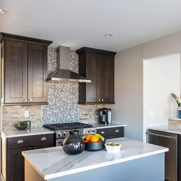 61st Place Kitchen Renovation