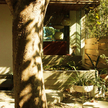 Nowita - Our House