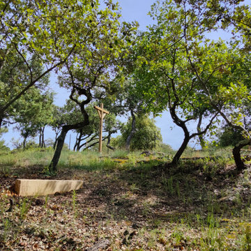 Jardin naturel sous les chênes