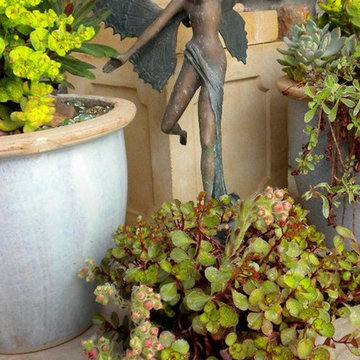 Container Plantings