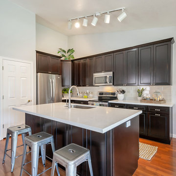 Kitchen Remodel (Curry)