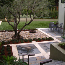 Demas-front yard