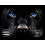 Vickie Hanson's photo