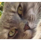 Jennifer Miscione's photo