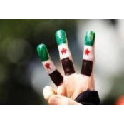Sara Kamal's photo