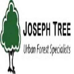 Joseph Tree