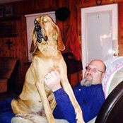 Christy Brown's photo