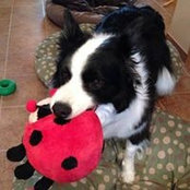 Michael Williams's photo