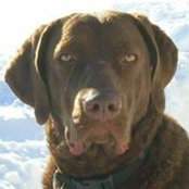 John Bishop's photo
