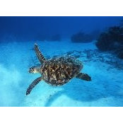 Carol Lilly's photo