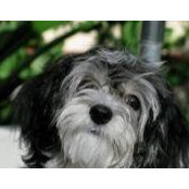 Eleanor Campbell's photo