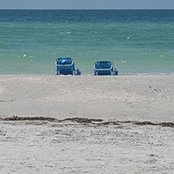 Dana Martin's photo