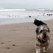 Lariza Johnson's photo