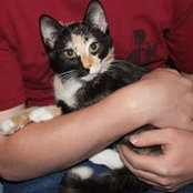 Debbie Mechler's photo