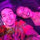 diana_muturia