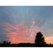 Laura Bosley's photo
