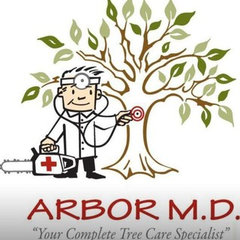 Arbor MD