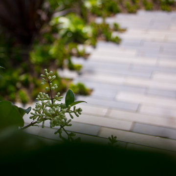 Santa Monica Exterior Remodel