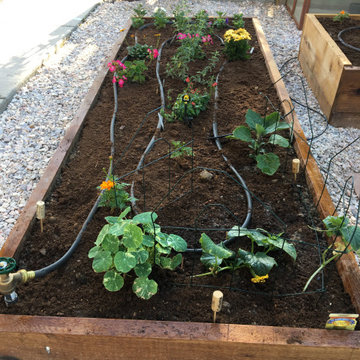 Side Yard - Raised Beds